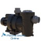 Pompe per piscine filtrazione Astralpool VerdonES