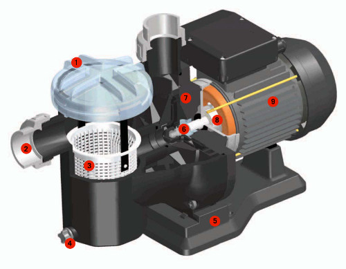caratteristiche pompa sena